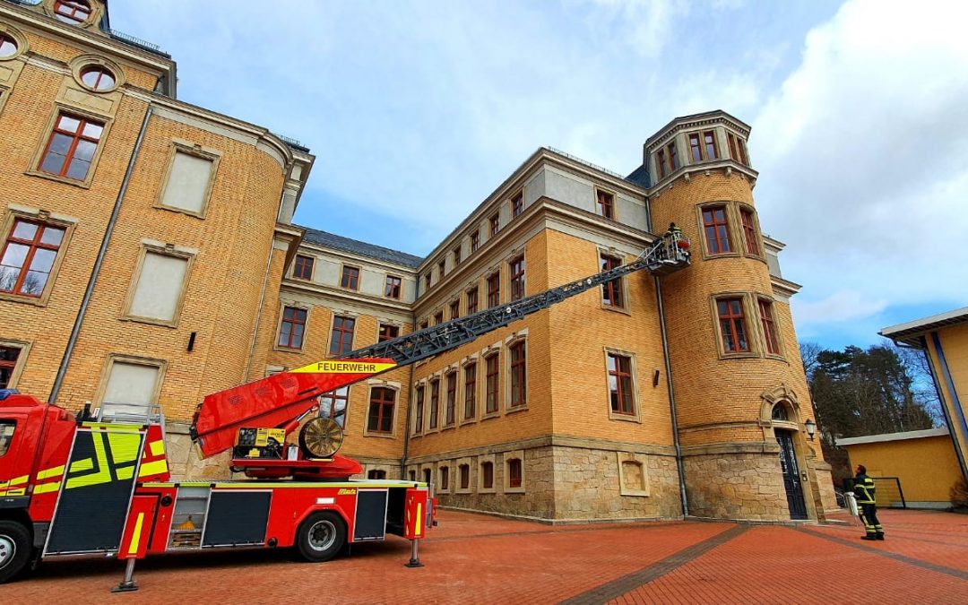 Eine Wohnung für den Falken